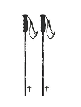 Fizan - LITE COMP SKISTAVE | BLACK/SILVER