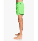 Quiksilver - EVERYDAY BADEBUKSER | HERRE | GREEN GECKO