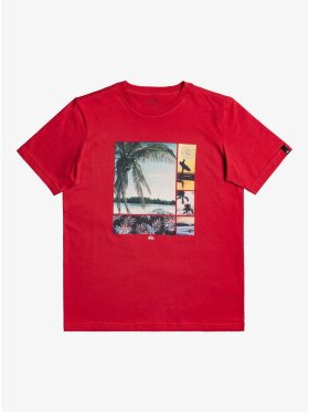 Quiksilver - Hidden Cove T-shirt | Børn | American Red