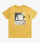 Quiksilver - Hidden Cove T-shirt | Børn | Ratten