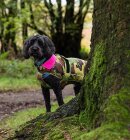 Dryrobe - Dryrobe poncho til hunde | Camo/Pink