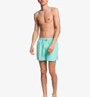 Quiksilver - Mens Everyday Badebukser - Herre - Beach Glass