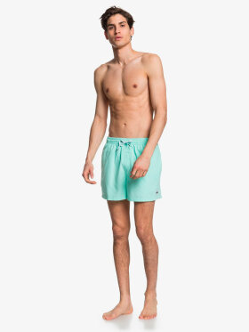 Quiksilver - Mens Everyday Badebukser - Herre - Beach Glass