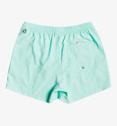 Quiksilver - Mens Everyday Badebukser - Herre - Beach Glass