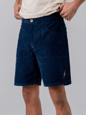 Lightning Bolt - Men's Fløjls Walkshorts - Herre - Seagrass (lys grøn)