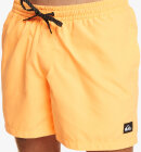 Quiksilver - Men's Everyday 15" Badeshorts - Herre - Orange Pop