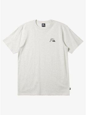 Quiksilver - QS M AQYZT09598 DNA TEE 24