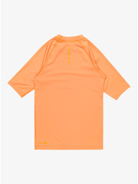 Quiksilver - Kid's Everyday Short Sleeve UV T-shirt - Børn - Tangerine