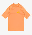 Quiksilver - Kid's Everyday Short Sleeve UV T-shirt - Børn - Tangerine