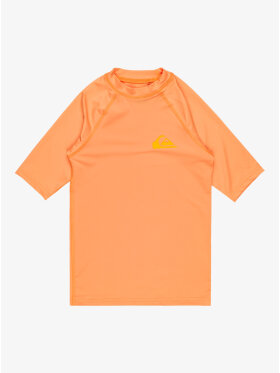 Quiksilver - Kid's Everyday Short Sleeve UV T-shirt - Børn - Tangerine