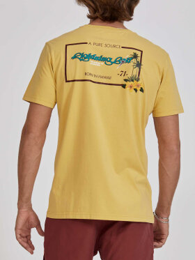 Lightning Bolt - Men's Regular Organic T-shirt - Herre - Fog (Gul)