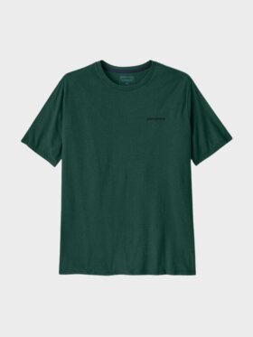 Patagonia - P-6 Logo Responsibili Tee - Mens - Cascade Green 