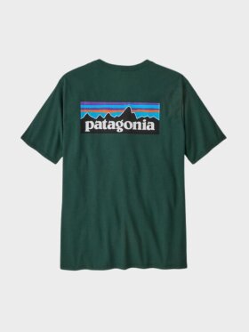 Patagonia - P-6 Logo Responsibili Tee - Mens - Cascade Green 