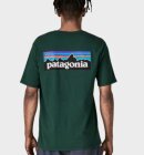 Patagonia - P-6 Logo Responsibili Tee - Mens - Cascade Green 