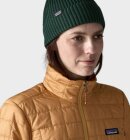 Patagonia - Fisher Roll Beani - Cascade Green