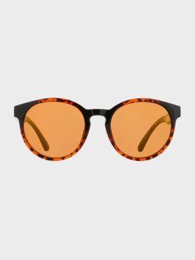 Red Bull Spect Eyewear  - Spect Ever Solbriller - Unisex - Lepard/gold  